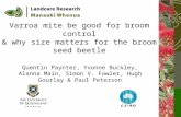 Varroa mite be good for broom control & why size matters for the broom seed beetle Quentin Paynter, Yvonne Buckley, Alanna Main, Simon V. Fowler, Hugh.