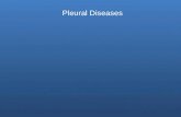 Pleural Diseases. Anatomy of the Pleura (embryology) The Pleural cavity derivatives are derived from splitting of the lateral mesoderm into splanchnic.