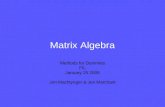 Matrix Algebra Methods for Dummies FIL January 25 2006 Jon Machtynger & Jen Marchant.