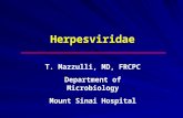 Herpesviridae T. Mazzulli, MD, FRCPC Department of Microbiology Mount Sinai Hospital.