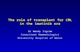 The role of transplant for CML in the imatinib era Dr Wendy Ingram Consultant Haematologist University Hospital of Wales.