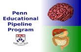 Penn Educational Pipeline Program Penn Educational Pipeline Program.