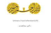 Urinary Tract Infection(UTI) دکتر مجاهدی. Urinary Tract Infections Dr MOjahedi.