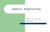 Genetic Engineering What’s it all about?. Genetic Engineering Genetic Engineering, the alteration of an organism's genetic material to eliminate undesirable.