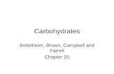 Carbohydrates Bettelheim, Brown, Campbell and Farrell Chapter 20.