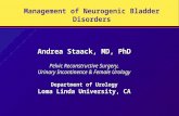 Management of Neurogenic Bladder Disorders Andrea Staack, MD, PhD Pelvic Reconstructive Surgery, Urinary Incontinence & Female Urology Department of Urology.
