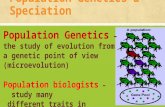 Population Genetics & Speciation Population Genetics –the study of evolution from a genetic point of view (microevolution) Population biologists – study.