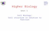 Higher Biology Course Unit 1 Higher Biology Unit 1 Cell Biology: Cell structure in relation to function