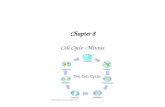 Chapter 8 Cell Cycle - Mitosis. WHAT CELL REPRODUCTION ACCOMPLISHES Cell Reproduction – –may result in the birth of new organisms –more commonly involves.