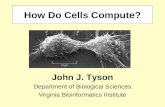 How Do Cells Compute? John J. Tyson Department of Biological Sciences Virginia Bioinformatics Institute.