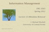 1 Information Management DIG 3563 Spring 2012 Lecture 15:Metadata Removal J. Michael Moshell University of Central Florida Original image* by Moshell et.