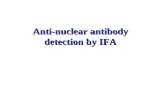 Anti-nuclear antibody detection by IFA. Purpose Indirect Immunofluorecence Kits - Anti-nuclear antibody (ANA) ： HEp2 Cell ANA Kit - 學習看 patterns 及結果判讀.