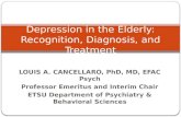 LOUIS A. CANCELLARO, PhD, MD, EFAC Psych Professor Emeritus and Interim Chair ETSU Department of Psychiatry & Behavioral Sciences Depression in the Elderly: