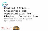 Central Africa – Challenges and Opportunities for Elephant Conservation IUCN/SSC African Elephant Specialist Group.