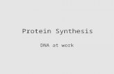 Protein Synthesis DNA at work. If DNA = recipe book Proteins = courses of a meal Recipes for all polypeptides are encoded by DNA mRNA is a copy of that.
