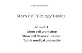Stem Cell Biology Basics Nozad H. Stem cell workshop Stem cell Research center Tabriz medical university In The Name of God.