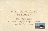 What Do Muslims Believe? Mr. Ornstein Willow Canyon High School World Cultures.
