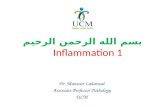 Inflammation 1 بسم الله الرحمن الرحيم Inflammation 1 Dr. Mansoor Laharwal Associate Professor Pathology UCM.