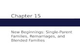 Chapter 15 New Beginnings: Single-Parent Families, Remarriages, and Blended Families.