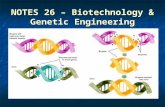 NOTES 26 – Biotechnology & Genetic Engineering. What is biotechnology? Biotechnology – the use of organisms and their genetics in industry to make products.