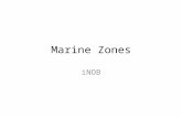 Marine Zones iNOB. Four Zones of a Marine Ecosystem 1.Intertidal 2. Neritic 3. Oceanic 4. Benthic.