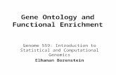 Gene Ontology and Functional Enrichment Genome 559: Introduction to Statistical and Computational Genomics Elhanan Borenstein.