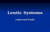 Lentic Systems Lakes and Ponds. Formation of Lakes Glacier lakes Glacier lakes Oxbow lakes Oxbow lakes Playas Playas Man-made lakes Man-made lakes.