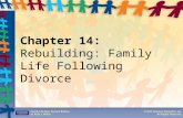 Chapter 14: Rebuilding: Family Life Following Divorce.