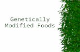 Genetically Modified Foods. Quickly write down a list of the foods or drinks that you had in the last 24 hours. Circle any foods that you believe were.