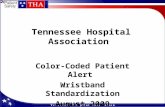Tennessee Hospital Association Color-Coded Patient Alert Wristband Standardization August 2009.