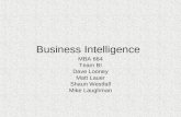 Business Intelligence MBA 664 Team BI Dave Looney Matt Lauer Shaun Westfall Mike Laughman.