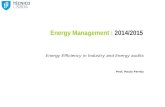 Energy Management : 2014/2015 Energy Efficiency in Industry and Energy audits Prof. Paulo Ferrão.