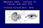 Textbook sections 27-1 – 27-3 Physics 1161: Lecture 19 Lenses and your EYE Ciliary Muscles.