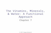 2010 Cengage-Wadsworth The Vitamins, Minerals, & Water: A Functional Approach Chapter 7.