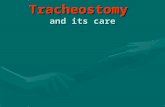 Tracheostomy and its care. Included in my presentation What is a stridor brief DDWhat is a stridor brief DD tracheostomytracheostomy HistoryHistory Tracheostomy.