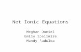 Net Ionic Equations Meghan Daniel Emily Spellmire Mandy Radulea.