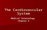 The Cardiovascular System Medical Terminology Chapter 5.