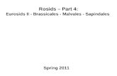 Rosids – Part 4: Eurosids II - Brassicales - Malvales - Sapindales Spring 2011.
