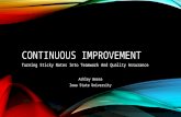 CONTINUOUS IMPROVEMENT Turning Sticky Notes Into Teamwork And Quality Assurance Ashley Weese Iowa State University.