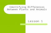 Identifying Differences Between Plants and Animals Lesson 1.