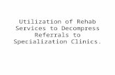 Utilization of Rehab Services to Decompress Referrals to Specialization Clinics.