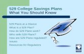 529 College Savings Plans What You Should Know 529 Plans at a Glance What is a 529 Plan? How do 529 Plans work? Who sells 529 Plans? How are 529 Plans.