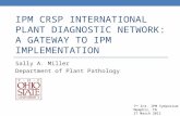 IPM CRSP INTERNATIONAL PLANT DIAGNOSTIC NETWORK: A GATEWAY TO IPM IMPLEMENTATION Sally A. Miller Department of Plant Pathology 7 th Int. IPM Symposium.