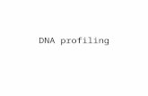 DNA profiling. What is it? What do you know about DNA Profiling? – How does it work? – From what sources can DNA for profiling be obtained? – How reliable.
