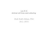 Lec # 15 Animal cell lines and culturing Shah Rukh Abbas, PhD 26.2. 2015.
