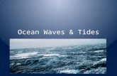 Ocean Waves & Tides. Waves The result of repeated and periodic disturbances that cause energy to be transported through water. Very little water is transported.