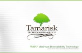 Overview  Founded in 2008  Privately held technology development company  Reorganized under new ownership as Tamarisk Technologies Group in 2014 About.