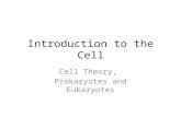 Introduction to the Cell Cell Theory, Prokaryotes and Eukaryotes.
