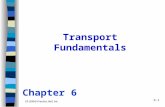 6-1 Transport Fundamentals CR (2004) Prentice Hall, Inc. Chapter 6.