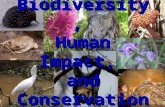 Biodiversity, Human Impact, and Conservation. Lecture 1: Biodiversity Biodiversity is the variation of lifeforms within a given ecosystem. Biodiversity.